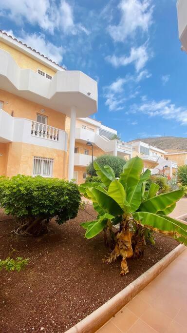 Golden Suite Ocean View & Pool Лос Кристианос Экстерьер фото